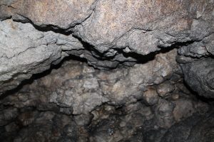 IMG_4259