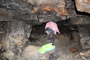IMG_4286