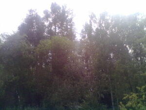08072016671