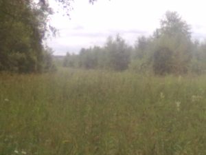 08072016690
