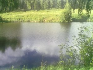 09072016696