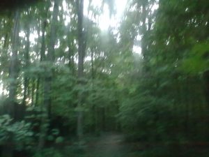 12072016701