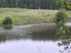 IMG_20160706_110224