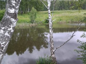 IMG_20160706_110517