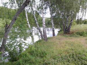 IMG_20160706_110525