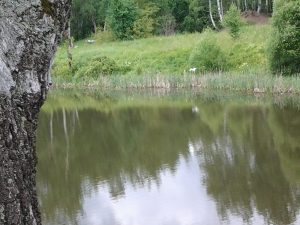 IMG_20160706_110555
