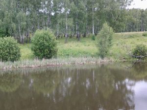 IMG_20160706_110608