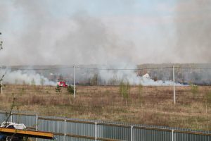 IMG_5601