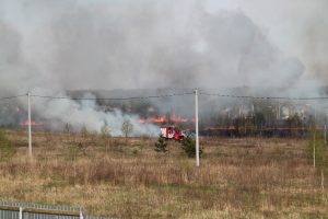 IMG_5603