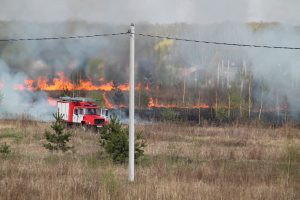 IMG_5605