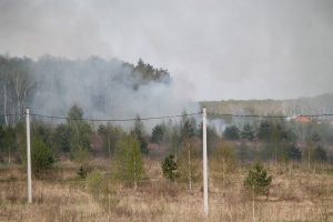 IMG_5607