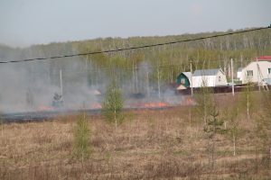 IMG_5608