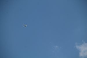 IMG_5630