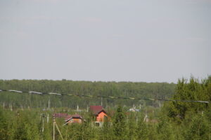 IMG_5636