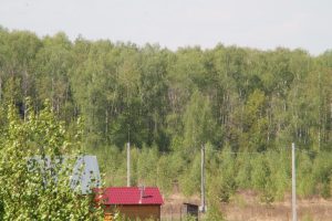 IMG_5642