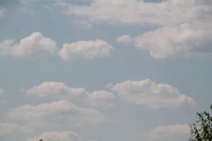 IMG_5644