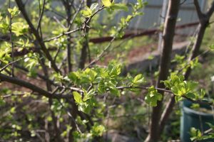 IMG_5647
