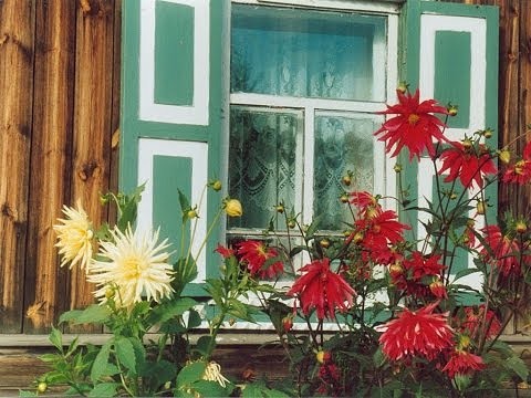 image (480x360, 58Kb)