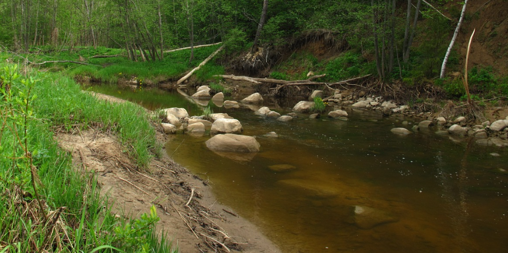 Река Касть