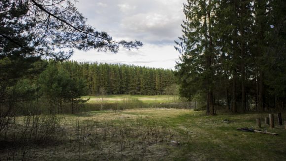 Тверская область, Торжокский р-н. Весна 2014.