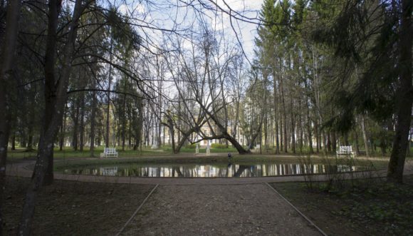Тверская область, Старицкий район, д. Берново. Весна 2014. 