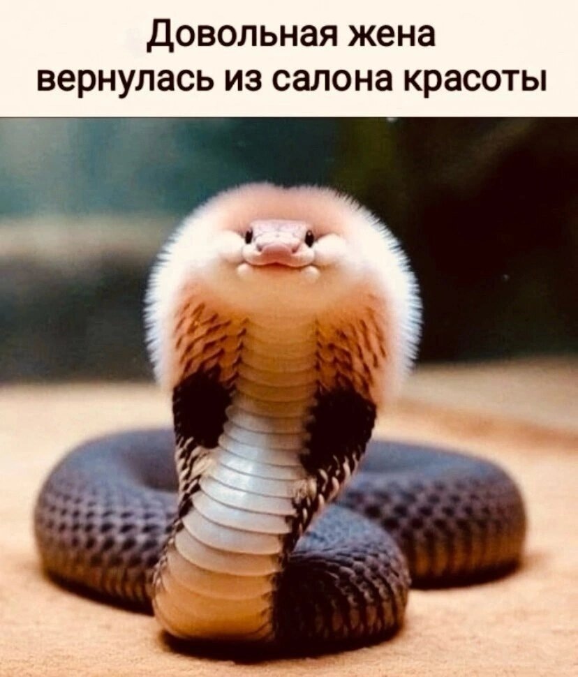 Картинка комментария