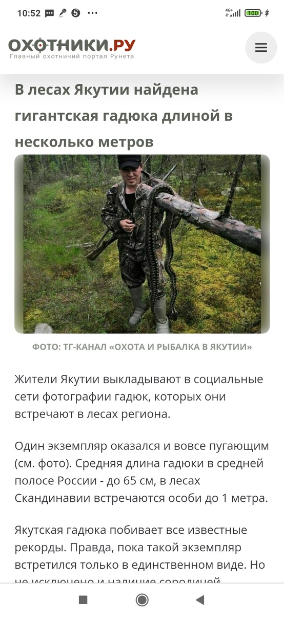 Картинка комментария