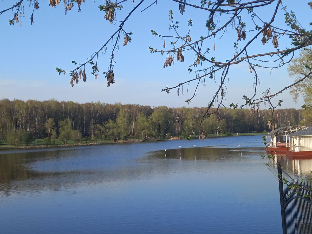 Картинка комментария