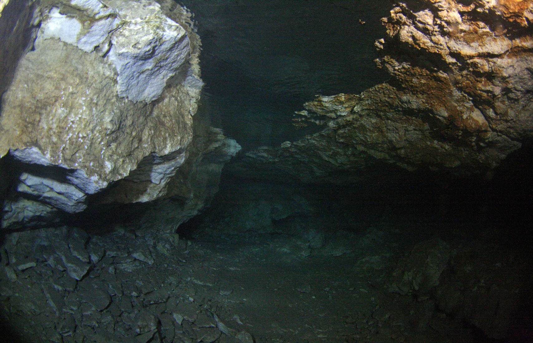 IMG_5739.JPG